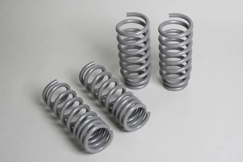 Progress Tech 04-10 Dodge Chrysler 300C/2009+ Dodge Challenger V8 Sport Springs 1