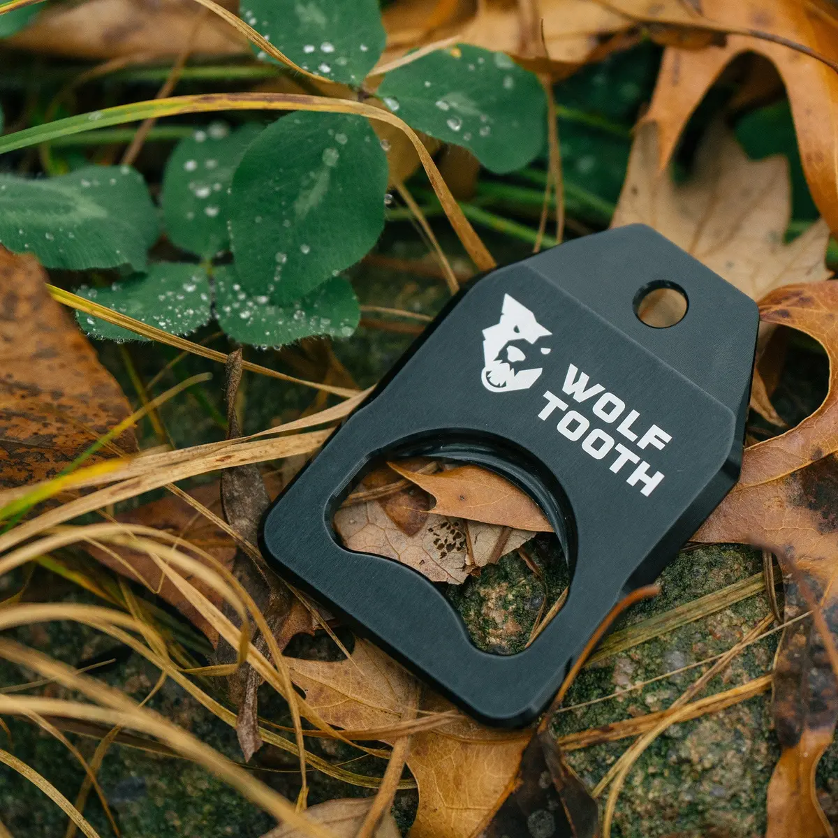 Bottle Opener With Brake Pad Spreader 2