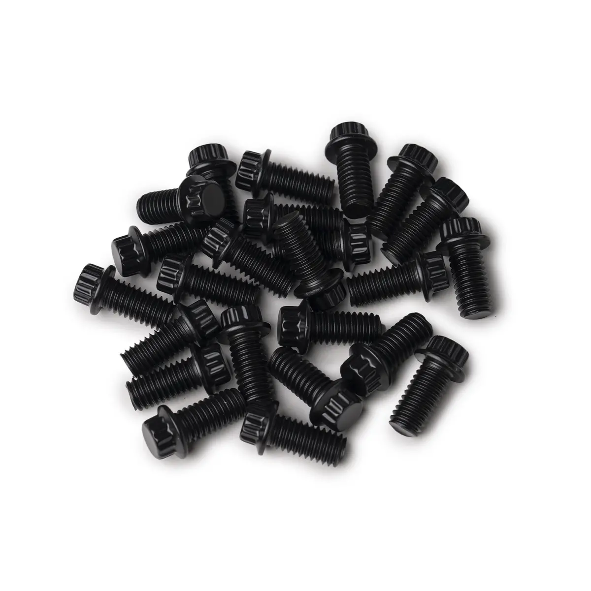 12 Point Lip Bolt Kit | Black 1