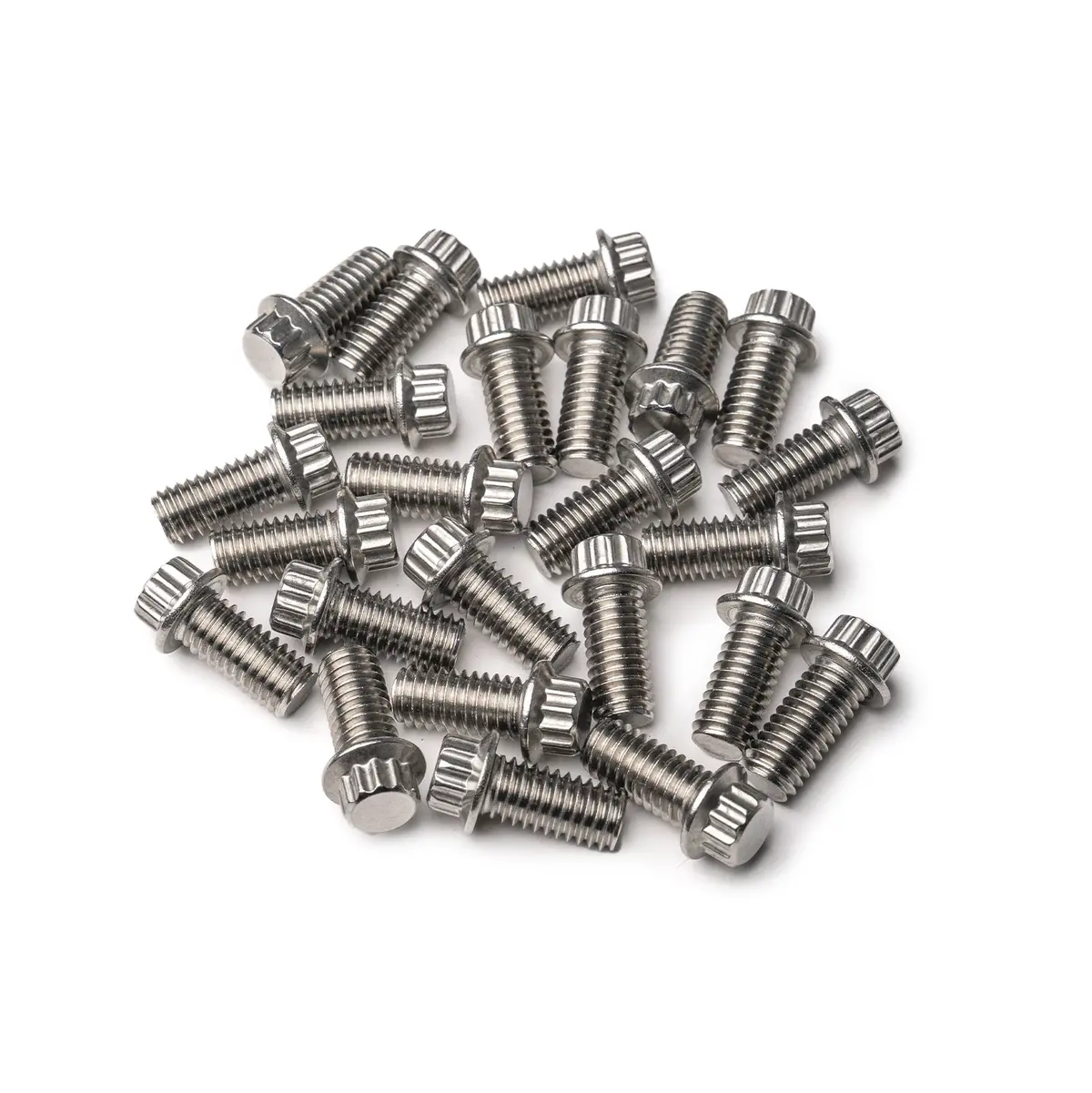 12 Point Lip Bolt Kit | Stainless 1