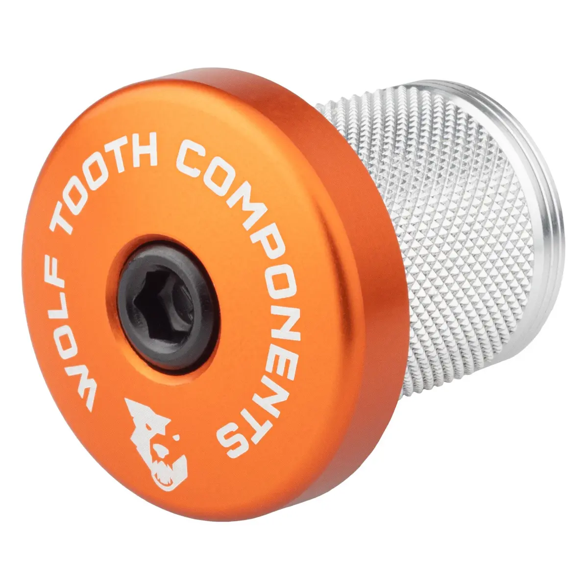 Compression Plug With Integrated Spacer Stem Cap 4