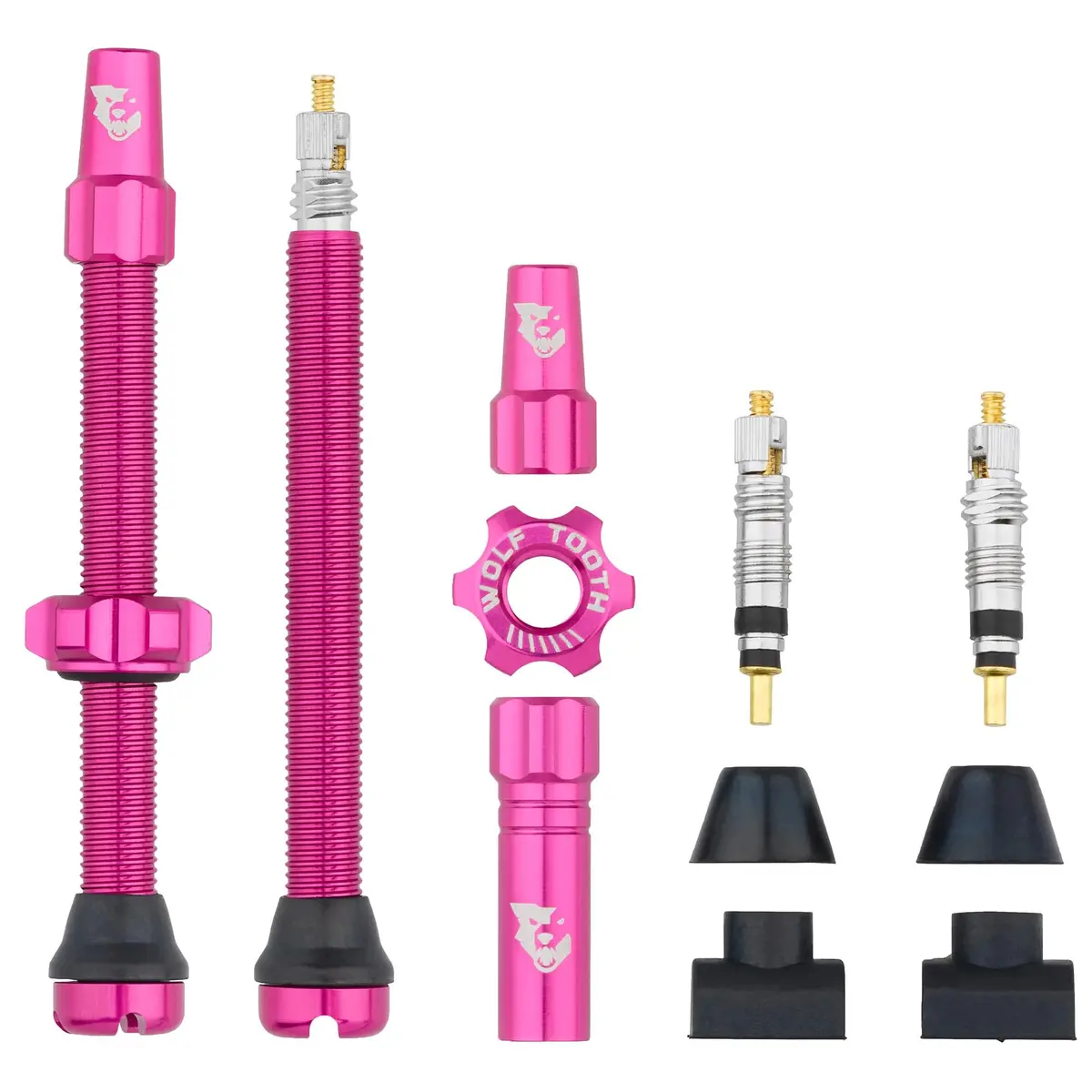 Tubeless Presta Valve Stem Kit 17