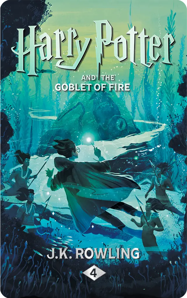 Harry Potter: Books 4-7 1