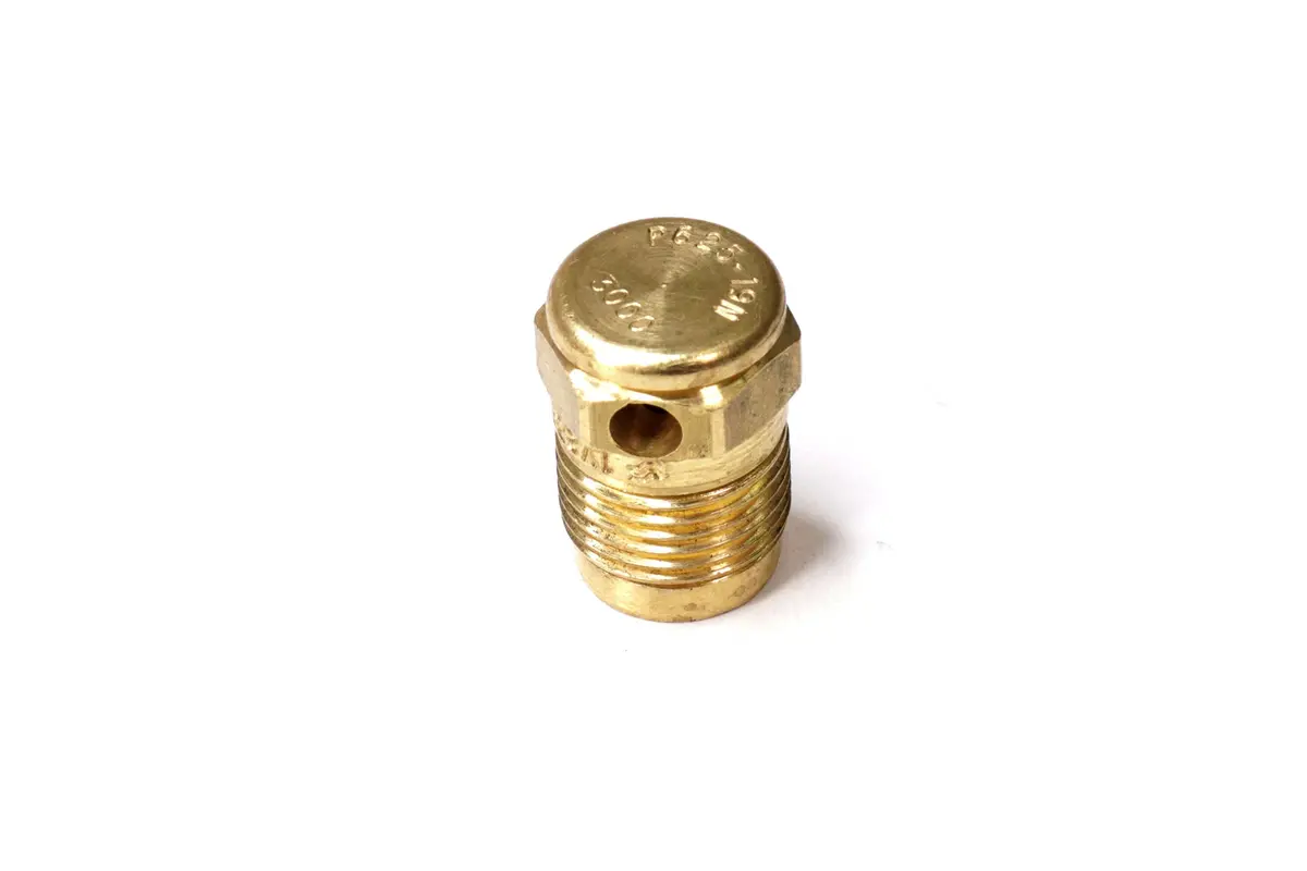 Co2 Burst Valve 25-10019 (Sherwood Valve) 1