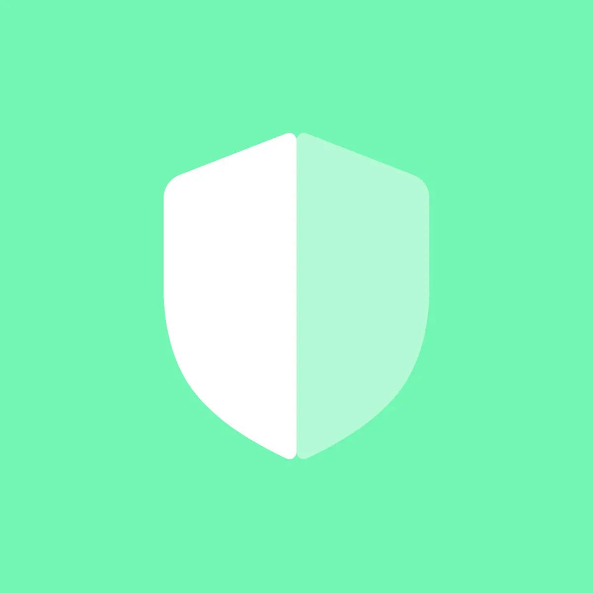 Shipping Protection 1